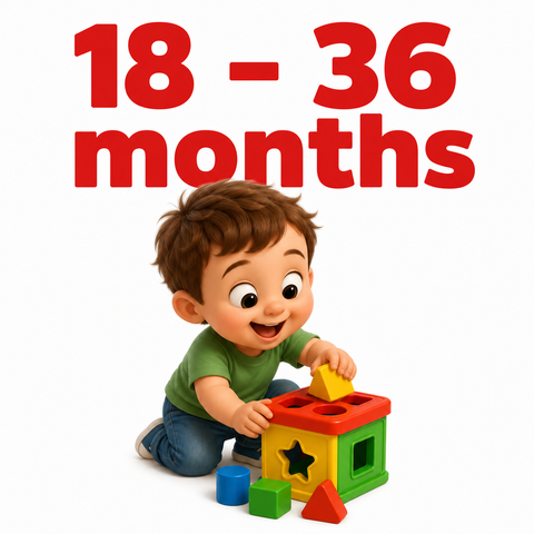 18 - 36 Months